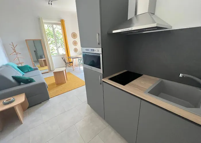 Anne - Cosy En Coeur De Apartment Ajaccio (Corsica)